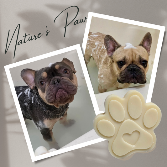 ARTISAN DOG CARE: NATURE'S PAW DOG SHAMPOO BAR Natural Dog Soap Solid Zero Waste Grooming Product Gentle Cleansing Formula Healthy Coat Spill-Free